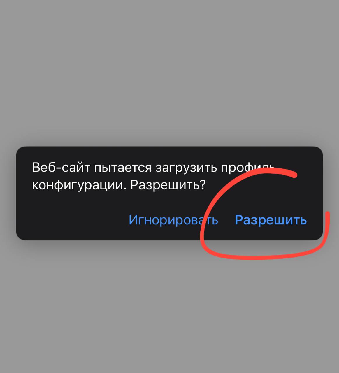 Allow download prompt